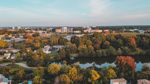 Lutte contre les nuisibles Cergy