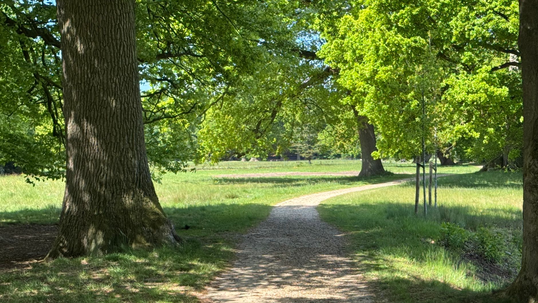 Lutte contre les nuisibles à Cergy